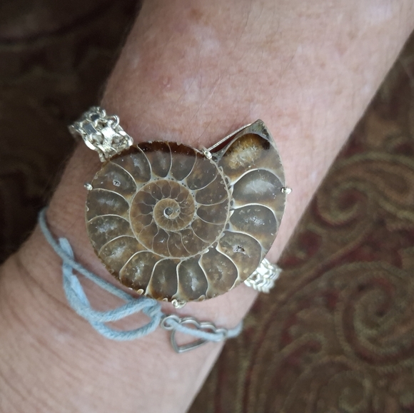 New Amonite Fossil Silver Bracelet. - Picture 12 of 13